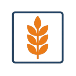 Innovación en el sector Agro